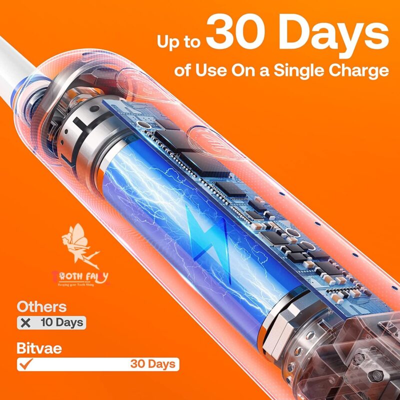 High-quality rotary electric toothbrush - Image 5